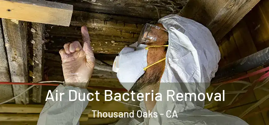 Air Duct Bacteria Removal Thousand Oaks - CA
