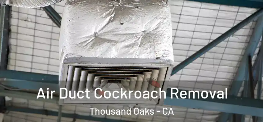 Air Duct Cockroach Removal Thousand Oaks - CA