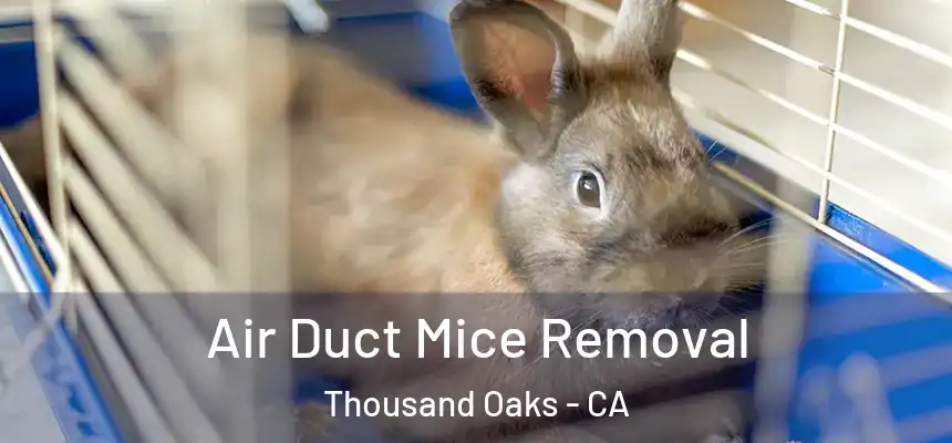 Air Duct Mice Removal Thousand Oaks - CA