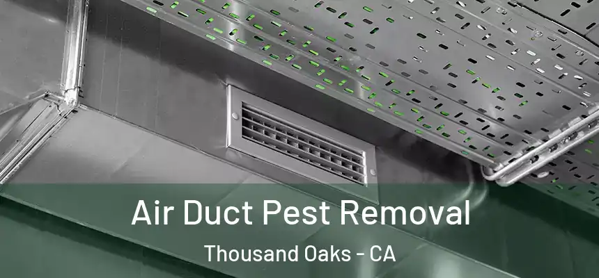 Air Duct Pest Removal Thousand Oaks - CA