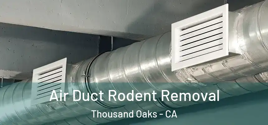 Air Duct Rodent Removal Thousand Oaks - CA