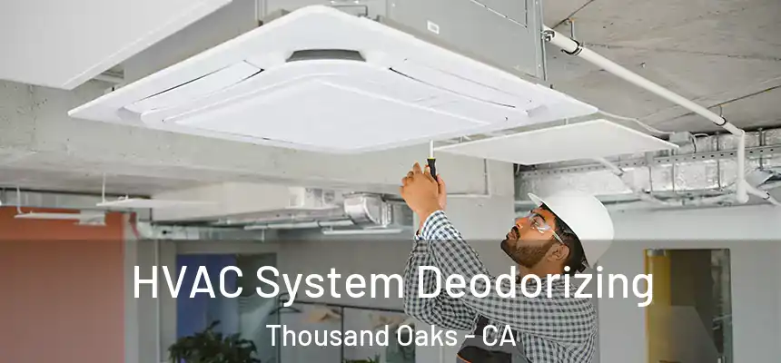 HVAC System Deodorizing Thousand Oaks - CA