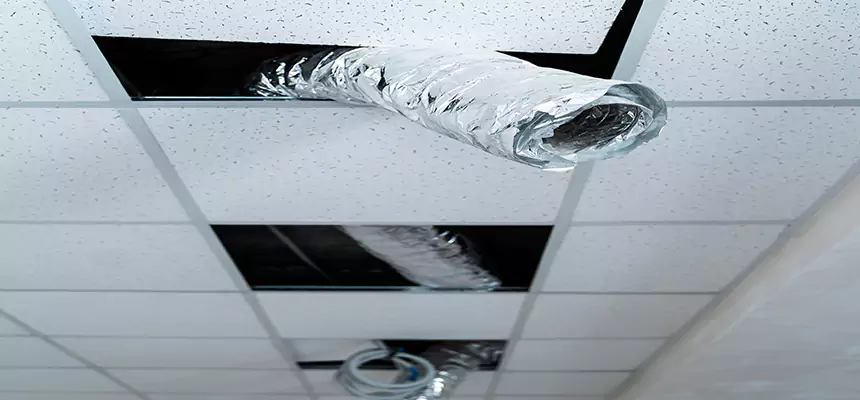 Our Air Duct Pet Hair Removal Services in Thousand Oaks, CA