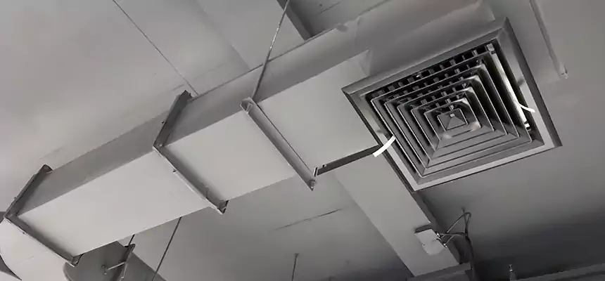 Restorative Allergy Relief Vent Cleaning – Coil, Blower & Housing Detail in Thousand Oaks