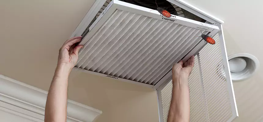 Our Insect Removal from Air Ducts Services in Thousand Oaks, CA
