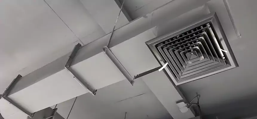 Our Pest Removal From Ducts Services in Thousand Oaks, CA