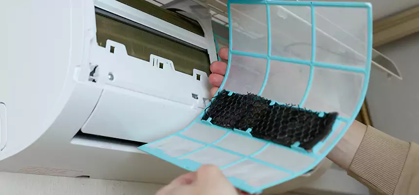 Gentle Ductwork Odor-Control Pet Dander Duct Cleaning in Thousand Oaks, CA