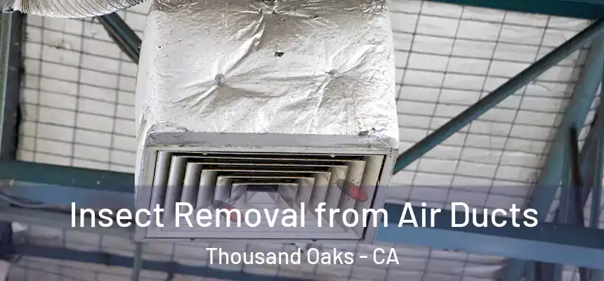  Insect Removal from Air Ducts Thousand Oaks - CA