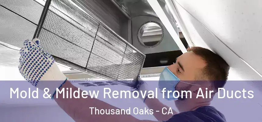  Mold & Mildew Removal from Air Ducts Thousand Oaks - CA