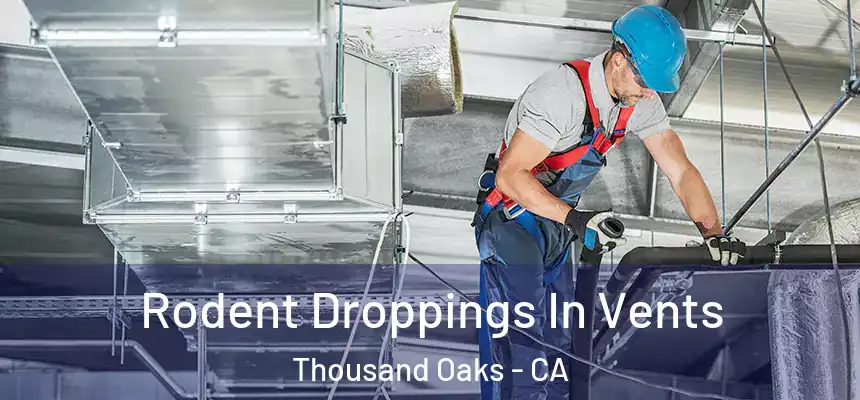  Rodent Droppings In Vents Thousand Oaks - CA
