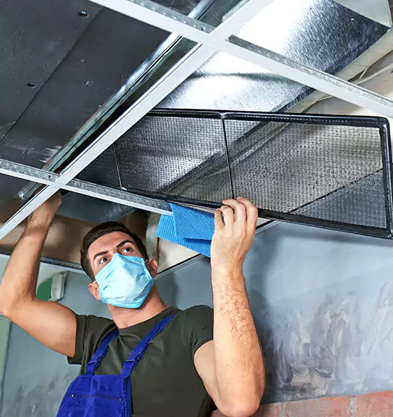 Professional Air Duct Pollen Cleaning in Thousand Oaks, CA