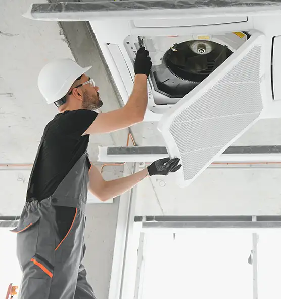 About Air Duct Rodent Removal in Thousand Oaks, CA