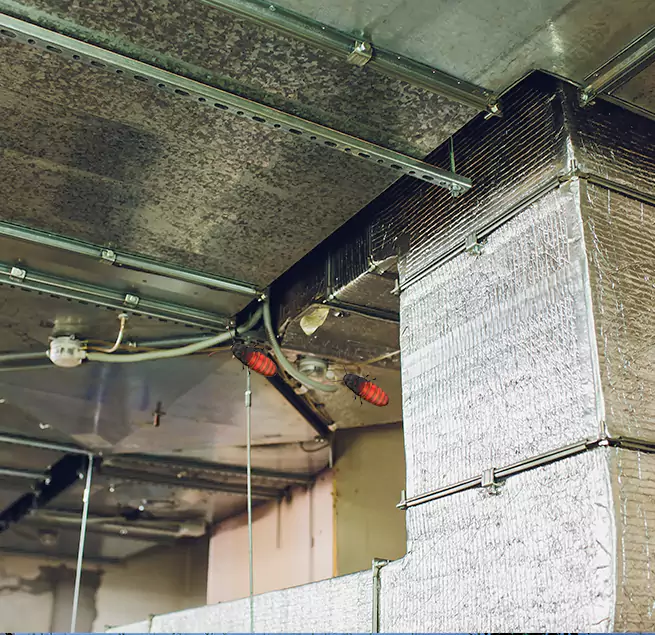 Why Homeowners & Businesses Trust Us in Thousand Oaks, CA?