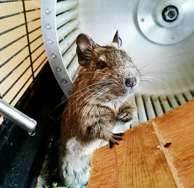 Why Homeowners & Businesses Trust Us Thousand Oaks, CA