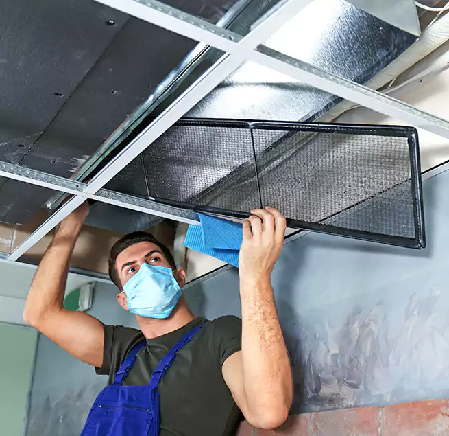 Why Homeowners Businesses Trust Us in Thousand Oaks, CA