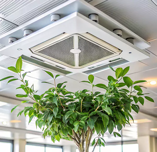 Why Homeowners & Businesses Trust Us in Thousand Oaks, CA?