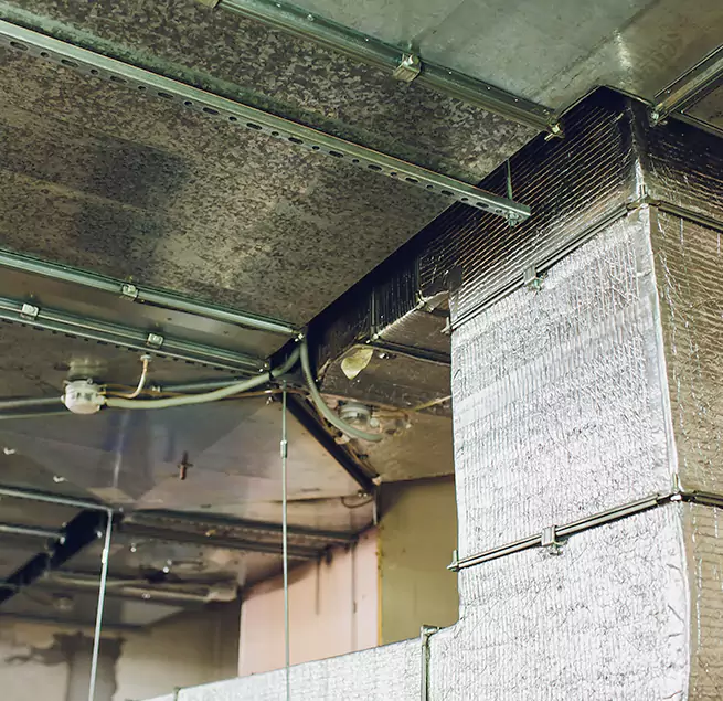 Why Homeowners & Businesses Trust Us in Thousand Oaks, CA?